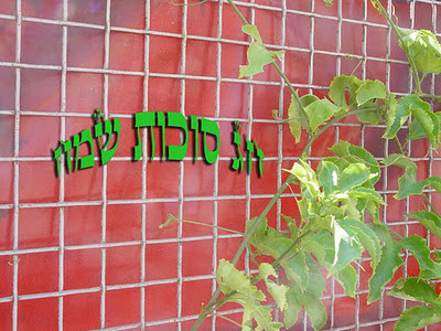 תמונה