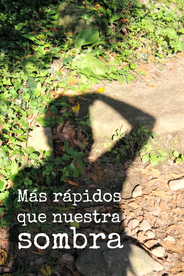 foto camino a fisterra