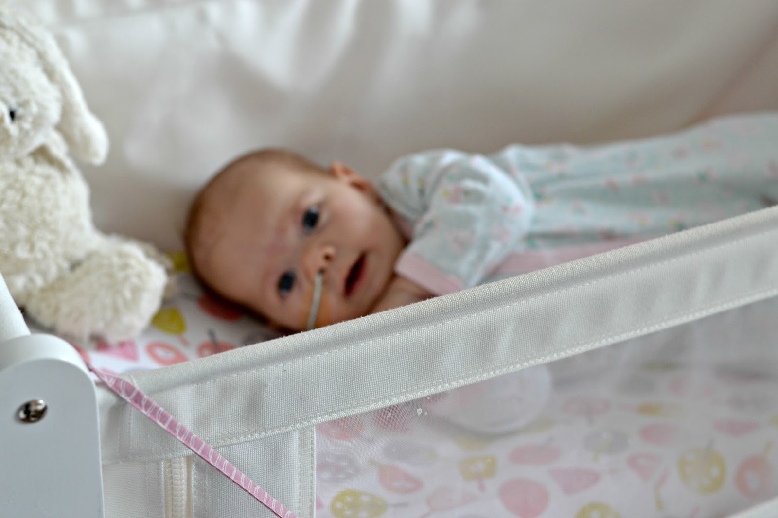 snuzpod weight limit