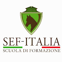 Scuola Equestre di Formazione SEF - Italia