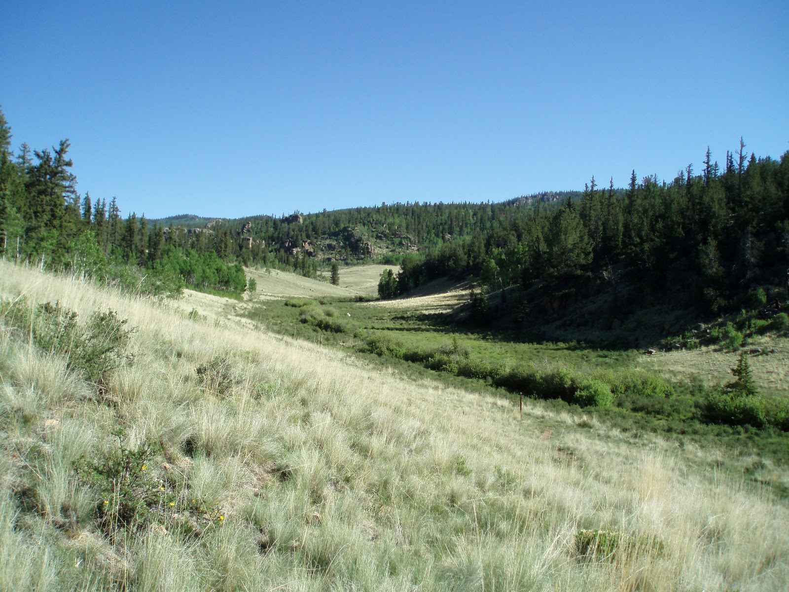 Q's Colorado Trail Blog Segment 5 Long Gulch Trailhead to Kenosha Pass