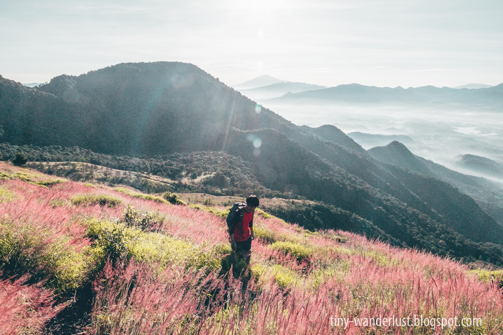 Gunung Gunung Di Garut Yang Menarik Dan Pas Untuk Kamu Yang Suka Mendaki Ujwar Firdaus