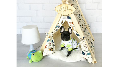 Dog Hotels in Singapore