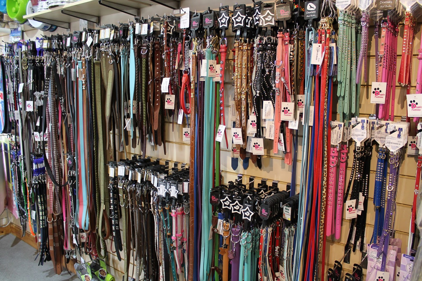 Doggie Fashions The Trentham Estate Staffordshire Paws across Britain