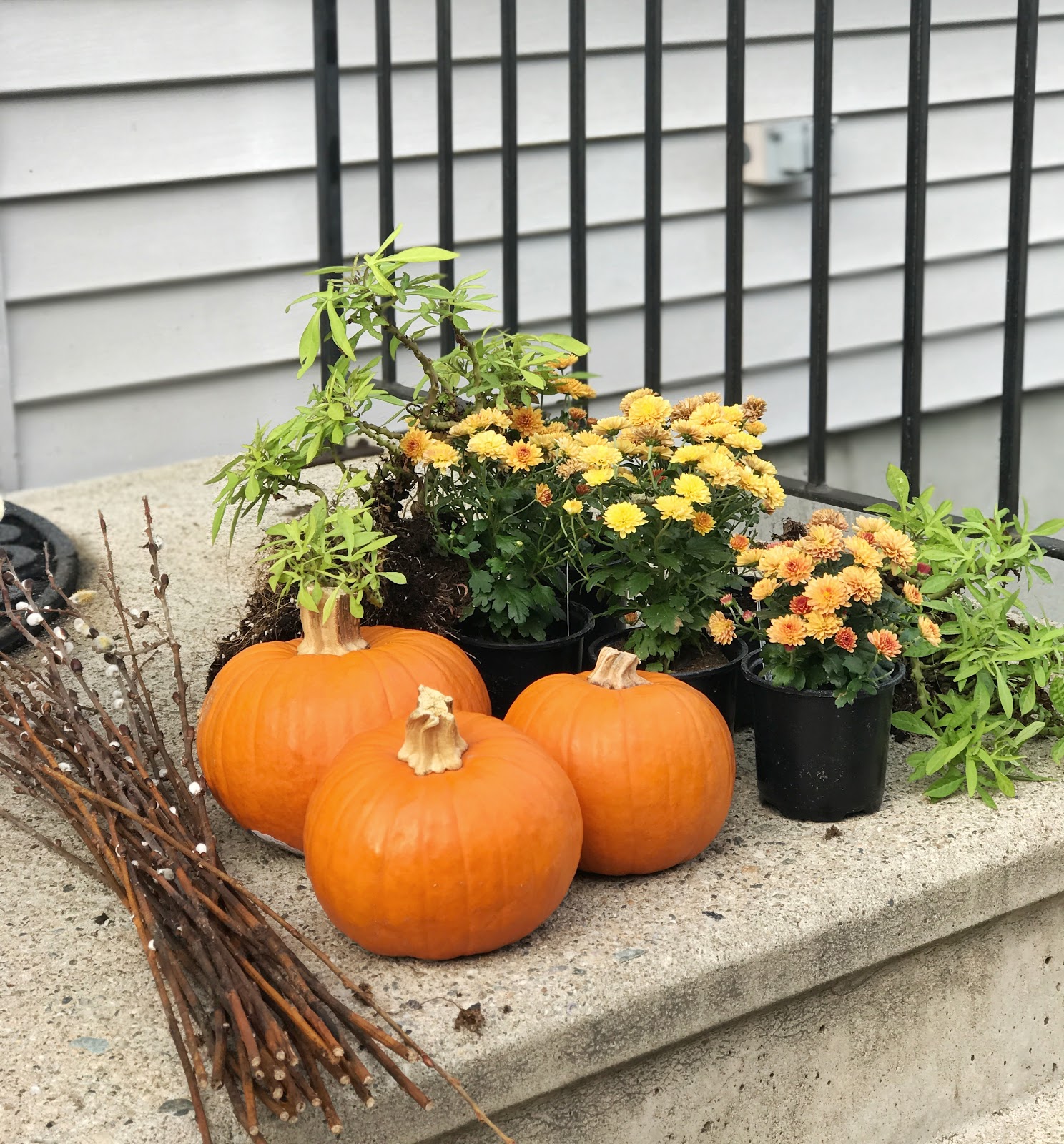 Fall Curb Appeal How to fill a Window Box for under 20 Made by Carli