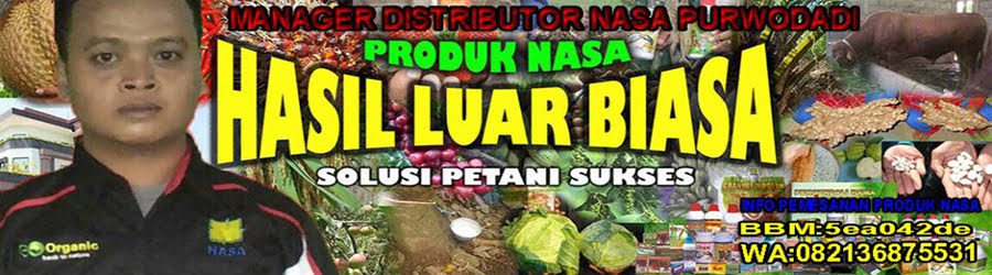 PELUANG BISNIS ONLINE DAN OFFLINE NASA