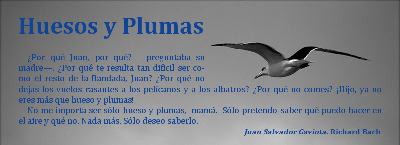 <center>Huesos y Plumas</center>