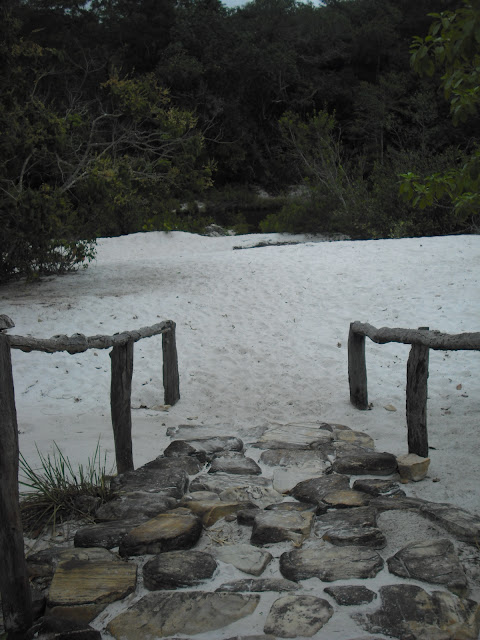 Foto tirada no Parque Estadual Rio Preto
