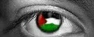 فلسطين - الحلم