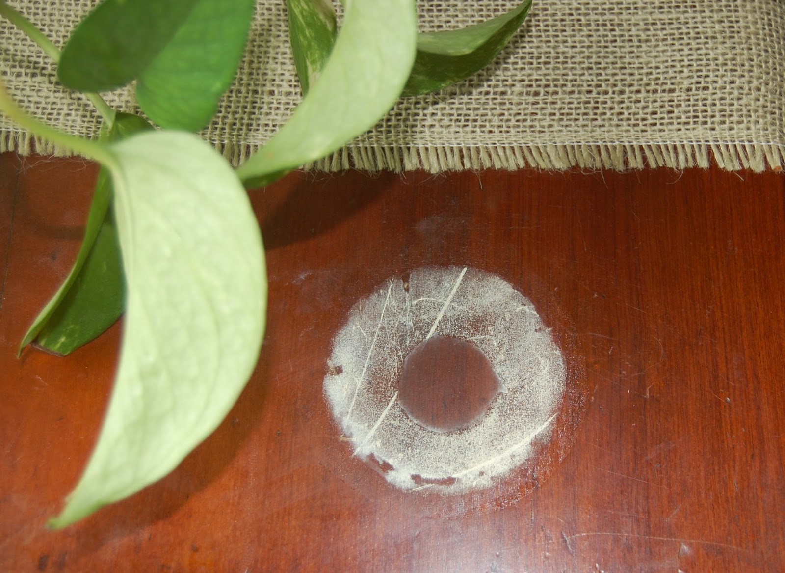 happy-house-and-home-how-to-remove-water-rings-from-wood