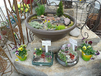 fairy garden containers for sale