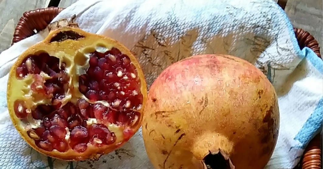 Grace's Blog 欣语心情 石榴豆奶隔夜燕麦 Pomegranate and Soy Milk Overnight Oats