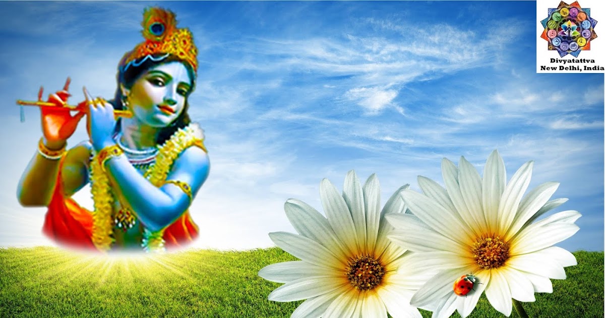 Sri Krishna Ultra HD Wallpaper 4K Spiritual Images & Background of