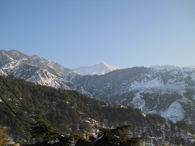 Дхарамсала зимой (январь)