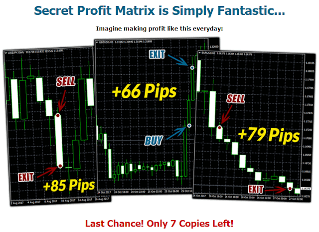 Secret Profit Matrix, Secret Profit Matrix Review, Secret Profit Matrix Reviews