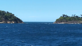 Apa bahasa Inggrisnya AIR TAWAR