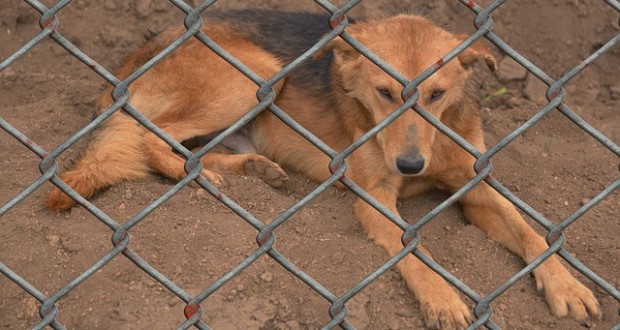Burgerportal Bergisch Gladbach Nachrichten Hintergrunde Termine