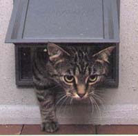 10/04/012 Ourense coloca casetas para cobijar a los gatos
