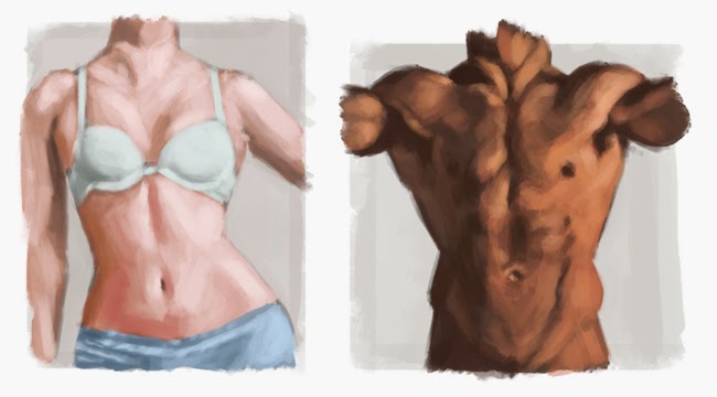 [Image: anatomy-chests-combo.jpg]