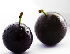 Receita de Jabuticaba Cristalizada como fazer Receita de Jabuticaba Cristalizada como fazer