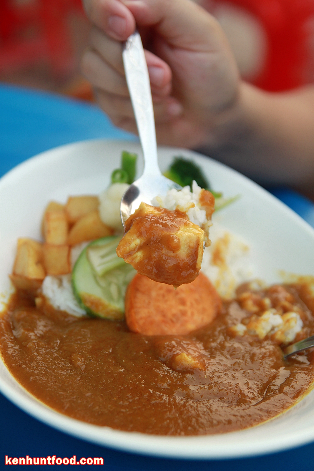 Ken Hunts Food: Den Local Japanese Food @ Lembah Permai, Tanjung Bungah
