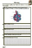 Atmung-Biologie-Aufgaben-Uebungen-Klassenarbeit