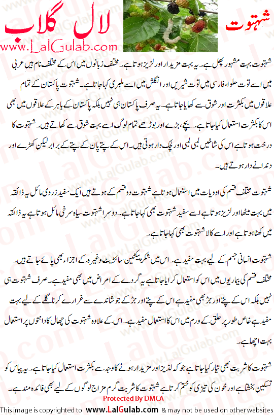 Khwab Ki Tabeer, Khawab Ki Tabeer, Khwabon Ki Tabeer, Mulberry