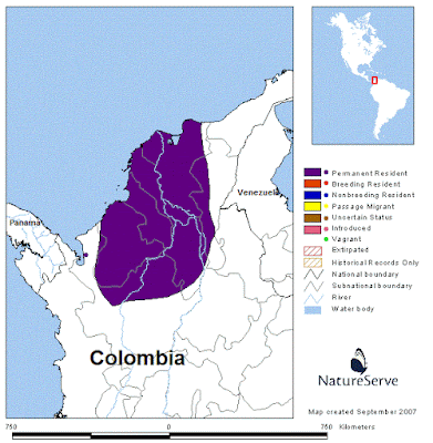 endemic birs Colombia
