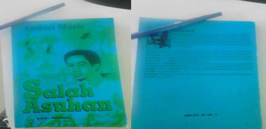 Aninda Nur Zuhra Resensi Novel Salah Asuhan