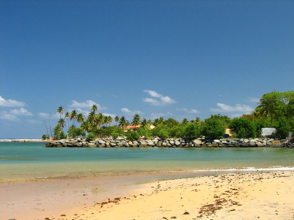 ¿Qué hacer en Dorado, Puerto Rico? Revista Mundo Niños