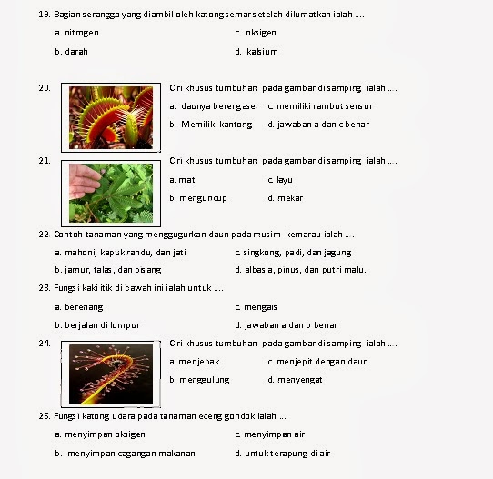 Soal Hots Klasifikasi Makhluk Hidup Kelas 10