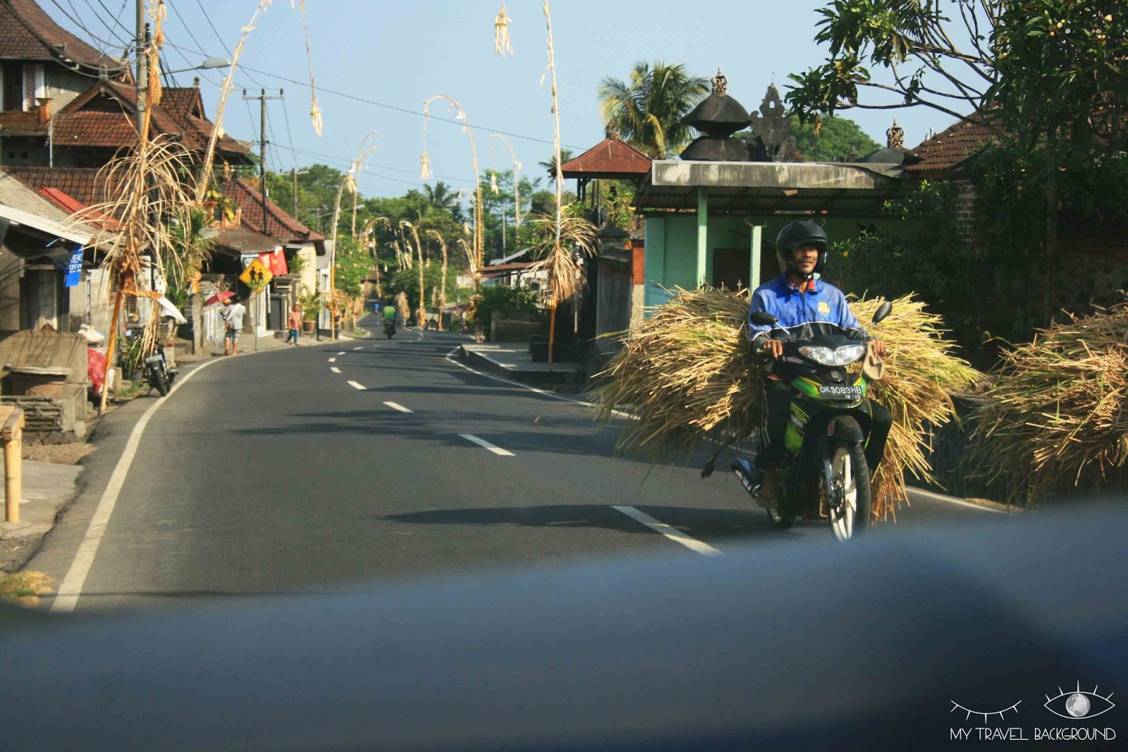 My Travel background : Mon road Trip en Indonésie, Bali