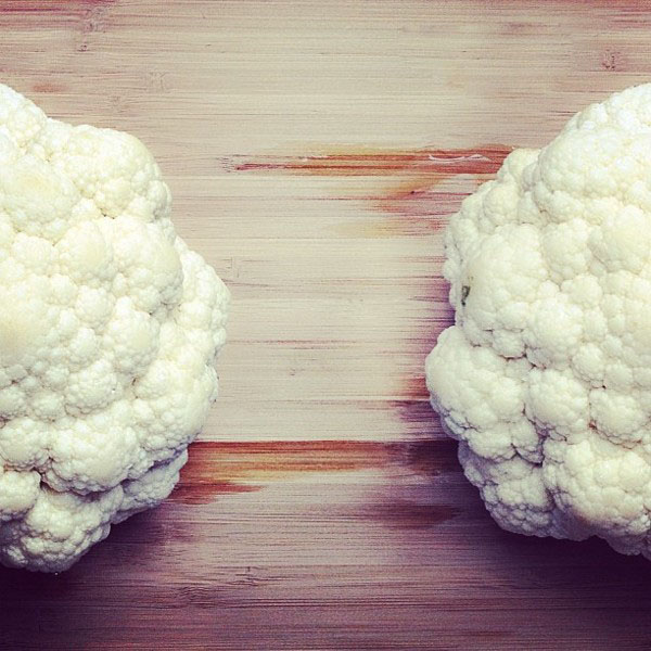 shy cauliflower