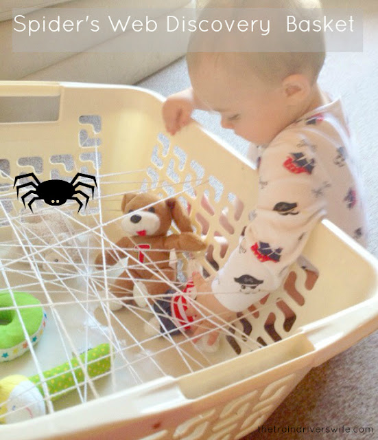 spiders web discovery basket