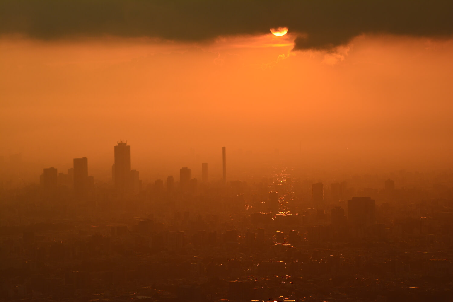 view from tokyo tower observation deck