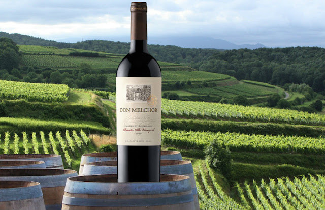 ¿Qué nos dice el año de cosecha de un vino?