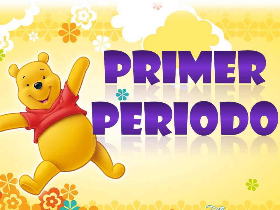 PLAN ASIGNATURA PRIMER PERIODO