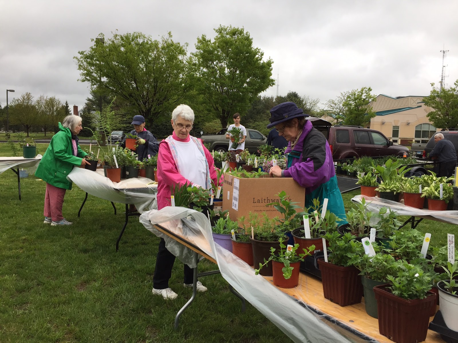 Enfield Garden Club 2017 ANNUAL PLANT SALE THANK YOU!
