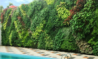Taman Vertical Garden