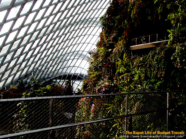 bowdywanders.com Singapore Travel Blog Philippines Photo :: Singapore :: Gardens By The Bay - Cloud Forest