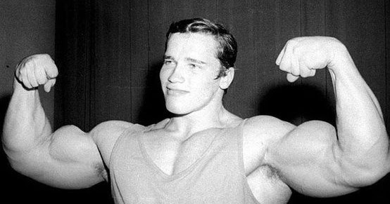 Muscle Palace Arnold Schwarzenegger�s MassBuilding