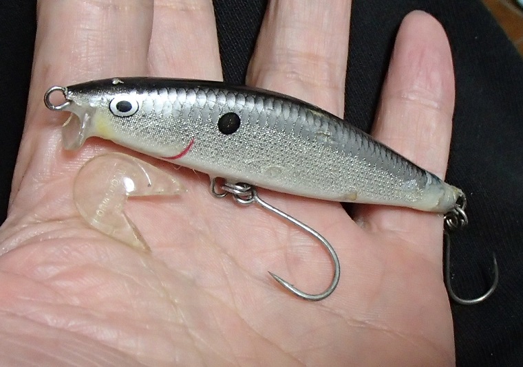 ナマジのブログ ｃｄ転じてｃｄｌとなす 秋に旨いはサバとなす