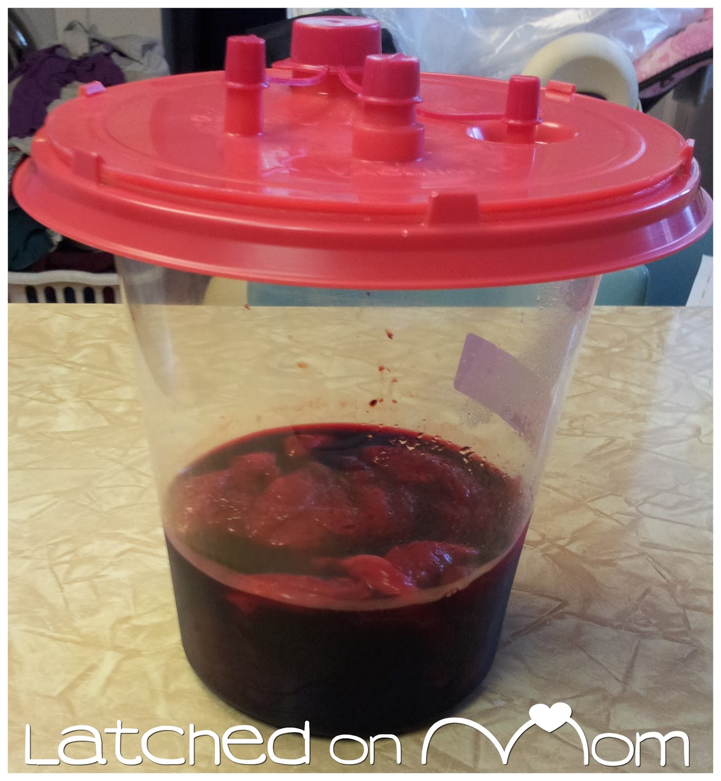 Latched On Mom How Do I Encapsulate My Own Placenta?