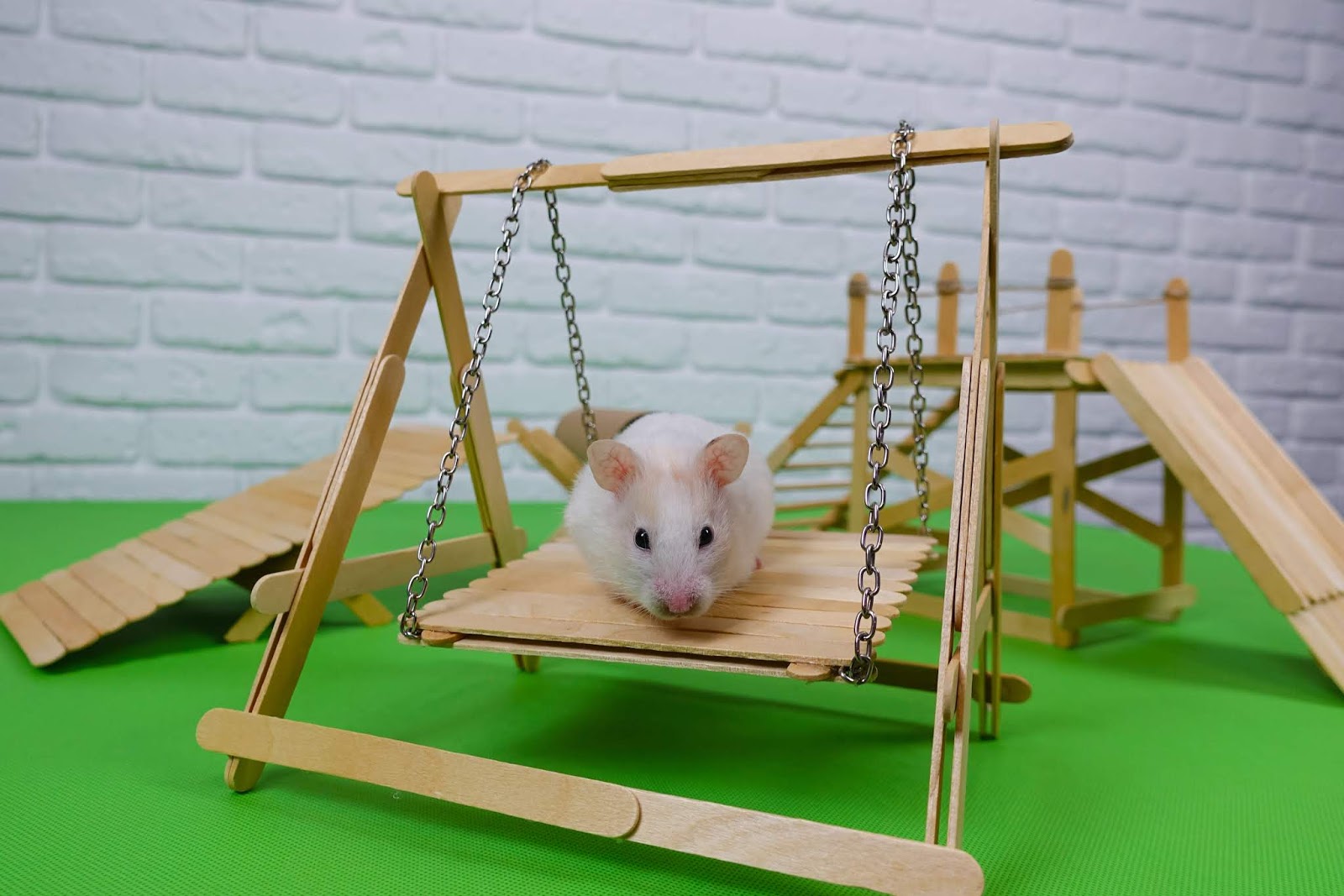hamster swing diy