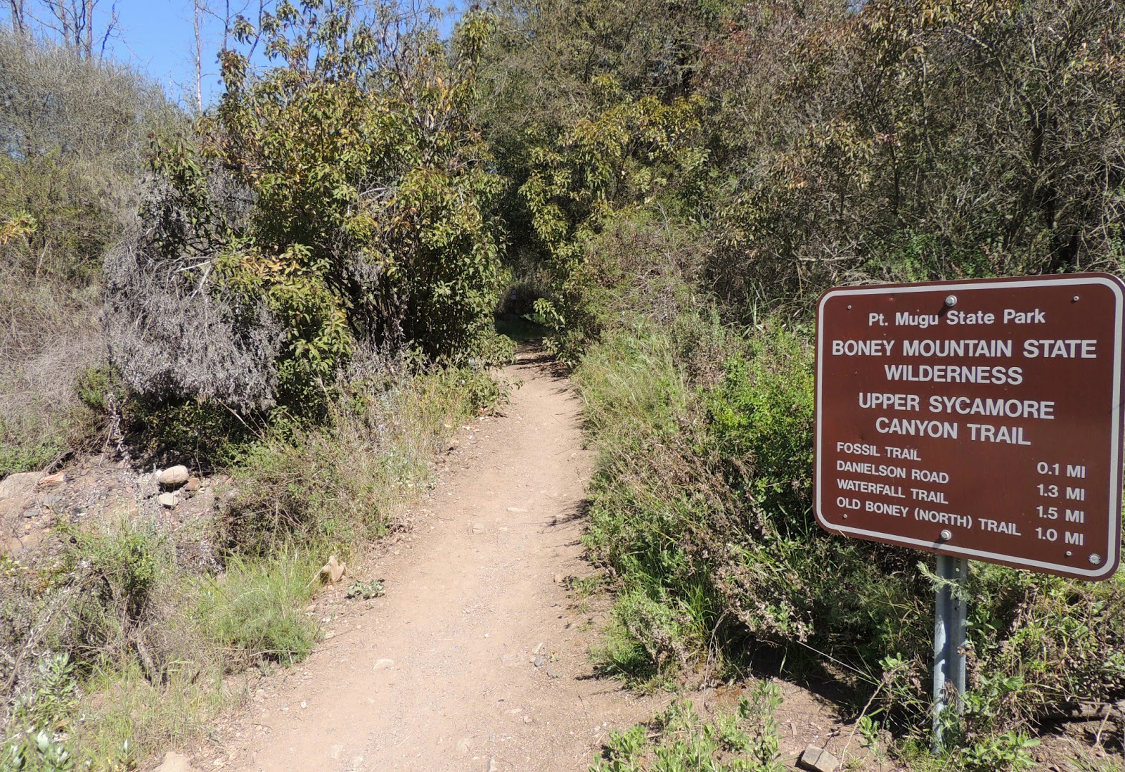 1000 Hikes in 1000 Days Day 876 Fossil Trail Old Boney Trail