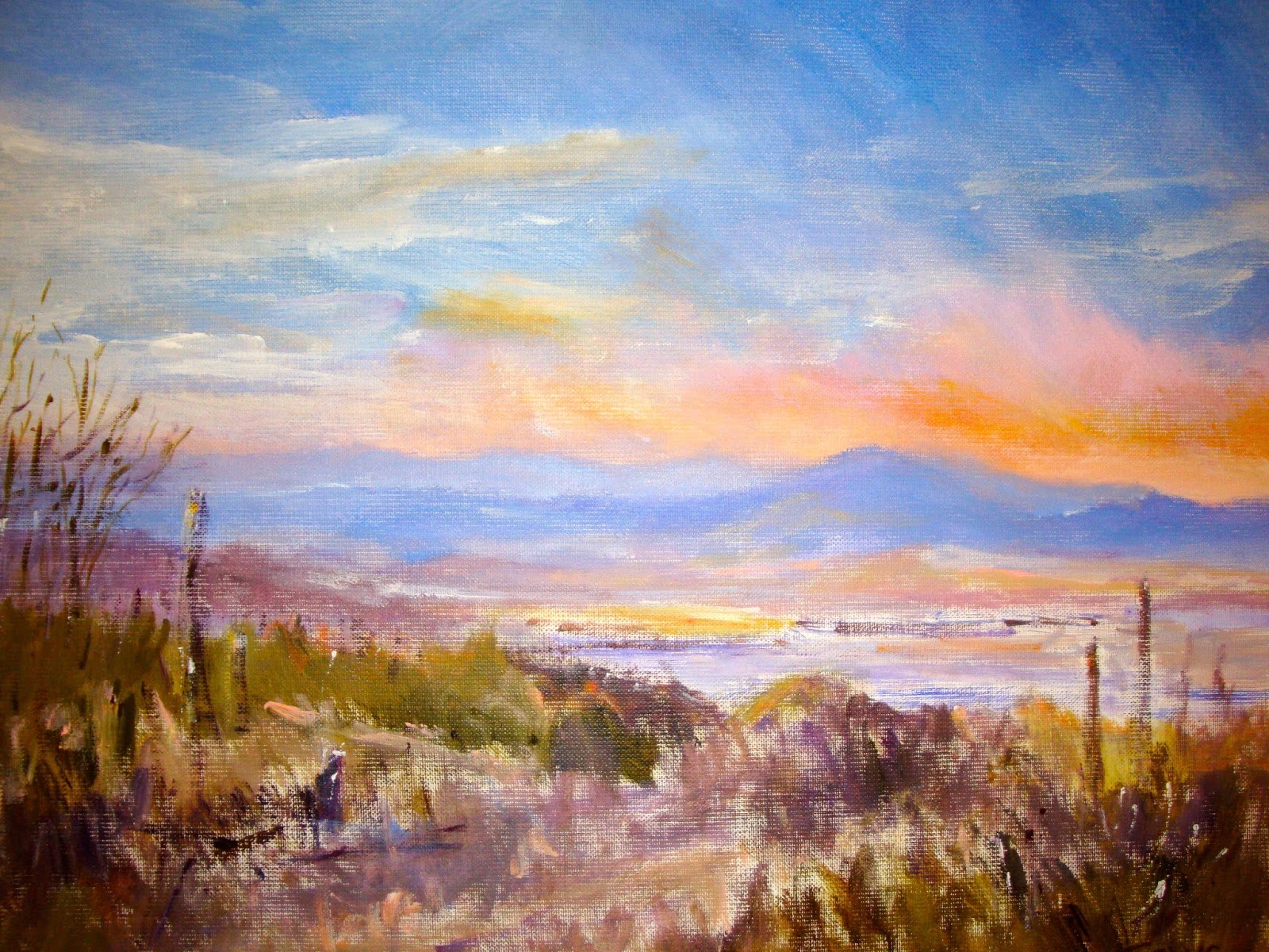 Toews' Art Blog Painting The Desert Southwest Tucson Area