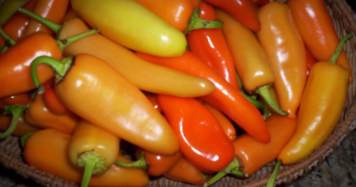 Hungarian Hot Wax Pepper Scoville