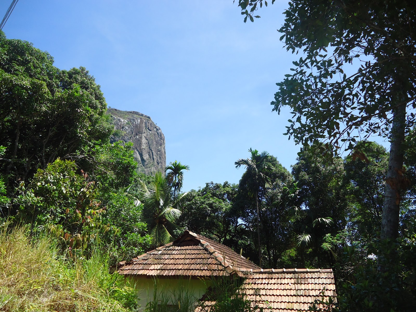 DSC09587.JPG