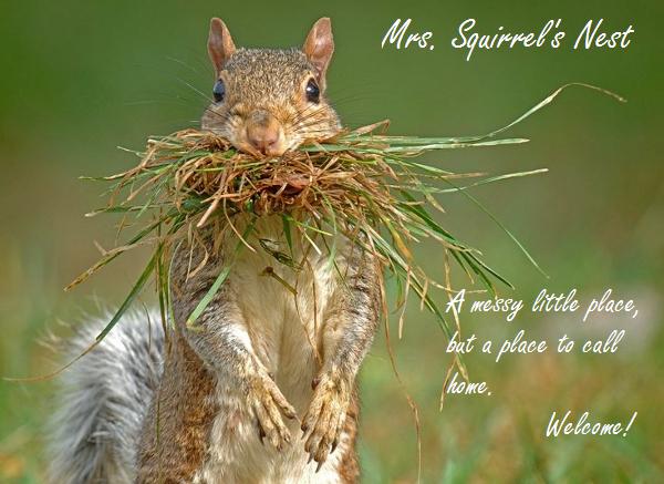 Mrs. Squirrel's Nest