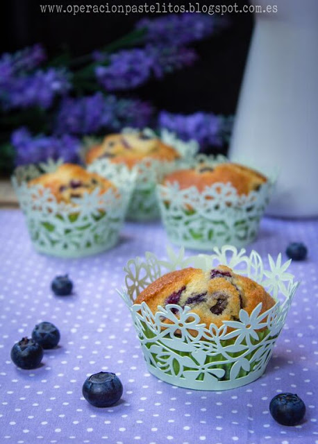 Muffins de arandanos frescos o blueberry muffins
